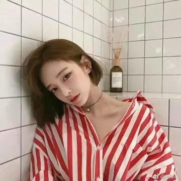 霍莉惊魂 封面